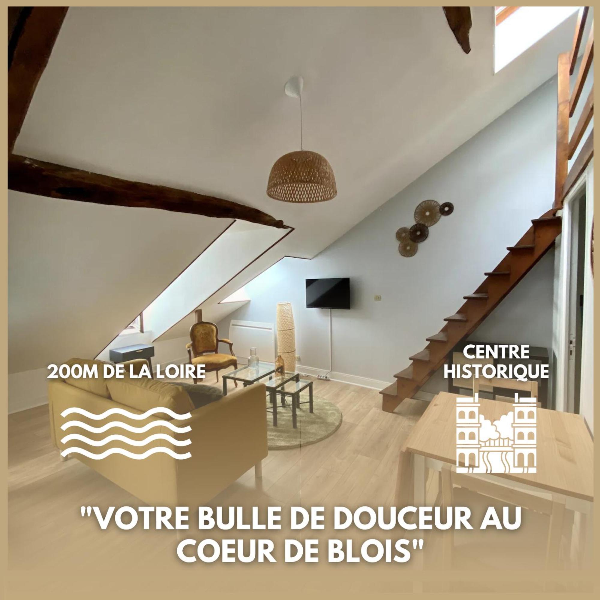 Le Cocon - Appartement En Hyper Centre بلْوا المظهر الخارجي الصورة